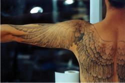 strix-scandiaca:  applecherry108:  jakeyelias:  gabrielsbutt:  toburnbright:  Oh, wow. The usual version of wing tattoos where they’re folded up against the shoulder blades doesn’t appeal to me but these… oh yes.  GET ON MY BODY  still really love