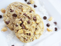 gastrogirl:  chocolate chip, coconut, and macadamia nut cookies. 