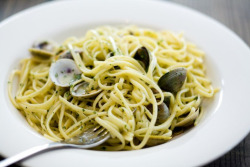 gastrogirl:  linguini with clams.