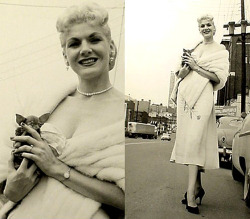 6&rsquo; 8&quot; showgirl Ricki Covette poses with a favorite travelling companion.. Her pet chihuahua, named: &ldquo;Gee Whiz&rdquo;..