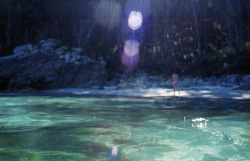 black-caviar:  seasidekids:  moondollar:  wildcove:  beautiful  holy shit  the lens flare in the top looks like a feather  fucking favourite photos ever on tumblr 