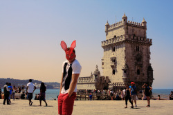 Belem Bunny - Lisbon, Portugal 2011 - Alexander Guerra