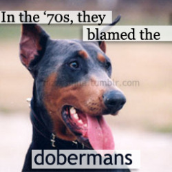 batfam-assemble:  lets-stop-the-killings-of-robins:  tehkiriai:  sonofahundredmaniacs:  fuchsiaring:  I have emotions about this post.  Fucking thank you  humans still blame the dobermans and rottweilers. People judge me when I walk my dog daily. Don’t
