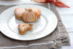gastrogirl:  pumpkin french macarons. 