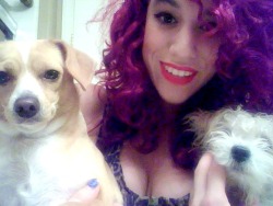 Cinnamon and Kandi.My pups are cute. &lt;3 