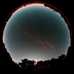 afro-dominicano:  Fisheye Lens Shows Draconid Meteors  Jesper Grønne of Silkeborg, Denmark used a fisheye lens to make this image of Draconid meteors in October, 2011.  Credit: Jesper Grønne