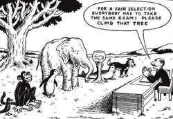 cirque-du-fuckass:   The educational system in one image. “Everybody is a genius. But if you judge a fish on its ability to climb a tree, it will live its whole life believing that it is stupid.” -Albert Einstein  ah yes yes 