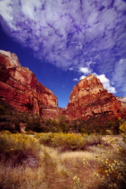 &ldquo;Impending Zion&rdquo;, as we began our hike up to Angel&rsquo;s Landing. Taken by meee. When I get back from NYC I&rsquo;m going to lock myself in a room with nothing but my CS5 and gigs of shit I&rsquo;ve shot this year. Can&rsquo;t wait to go