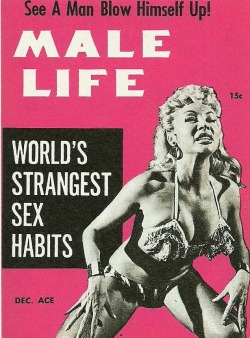 Lilly Christine (aka. &ldquo;The Cat Girl&rdquo;) graces the cover of an issue of ‘MALE LIFE’ magazine; a popular 50’s-era Men’s Pocket Digest..