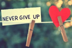 4yourinspiration:  Never. Give up.♥ 