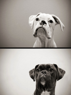 whiteboxerlove:  Black &amp; White. Day &amp; Night by Virginia Bailey Photography on Flickr. 