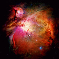 evenstars:  At a distance of about 1,500 light years, the Orion Nebula is one of the closest star formation regions to Earth. It is one of the brightest in the night sky and lies south of Orion’s Belt.  