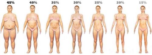 Real women different body sizes