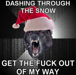 laugh-addict:     DASHING THROUGH THE SNOW GET THE FUCK OUT OF MY WAY YOU’RE SO FUCKING SLOW AND FAT, WHAT DO YOU WEIGH HA-HA-HA YOU CAN’T FUCKING SING I’LL START A FUCKING FIGHT GET OUT MY WAY YOU FUCKING HO I’M DRIVING HERE TONIGHT  JINGLE