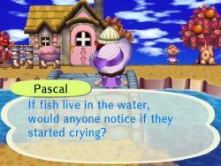 Oh, Pascal.