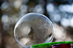 julieebaybee:  Did you know that you can freeze bubbles? These temperatures are perfect for using that left over bubble mix from the summer. Go outside on any day when it’s below 32 degrees F and try this: blow a bubble and then catch it on the bubble
