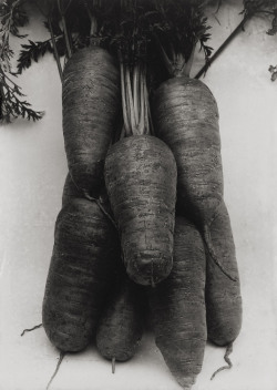 Carrots photo by Charles Jones, 1902