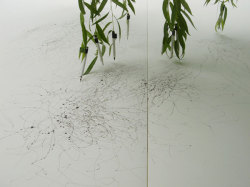 i-eviscerate:  Tree Drawings, Tim Knowles “A series of drawings produced using drawing implements attached to the tips of tree branches, the wind’s effects on the tree recorded on paper. Like signatures each drawing reveals the different qualities