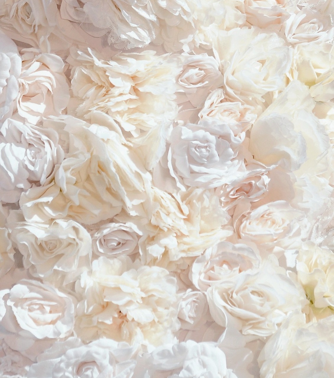 gaeroladid: White Roses Tumblr Images
