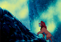 lionkingfreak:   The king has returned.  this is the greatest gif set ever, kay 