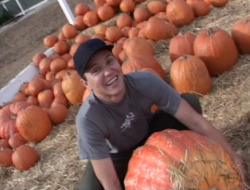 austin-carlile-is-my-boo:  Fall is here. Please have a picture of Mark Hoppus holding a pumpkin. Be happy. 