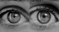 ruoloc:  Your pupils dilate when you see the person you are attracted to. Because the nervous system controls the muscles of the irises, the response of the nervous system to different stimuli results in involuntary pupil dilation. Another commonly cited