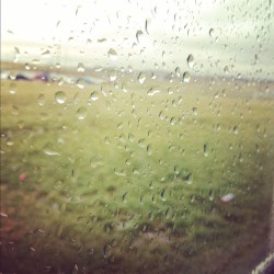 Rain drops (Taken with instagram)