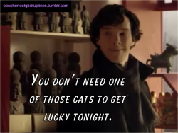 bbcsherlockpickuplines: “You don’t need one of those cats to get lucky tonight.” Submitted by tophatsandfedoras. Based on a suggestion by deeppuddles. 