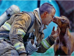 cilveki:  “The photograph above?  It’s a drop dead gorgeous red-head and her  hero.  This red Doberman Pinscher is kissing the exhausted fireman who  just saved her life. He had just saved her from a fire, rescuing her by carrying her out  of her