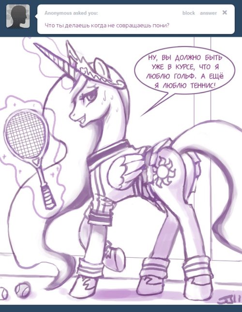 Agnes szavay tennis player