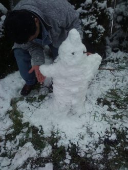 My dad built a snowman version of Majin Buu (Kid buu)