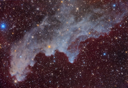 cwnl:  IC 2118: The Witch Head Nebula Image Credit &amp; Copyright: Gimmi Ratto &amp; Davide Bardini (Collecting Photons) Double, double toil and trouble; Fire burn, and cauldron bubble — maybe Macbeth should have consulted the Witch Head Nebula. This