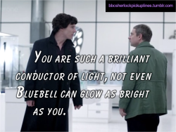 &ldquo;You are such a brilliant conductor of light, not even Bluebell can glow as bright as you.&rdquo;