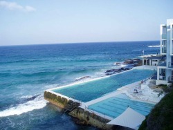 allushed:  rosqua:  vverism:  dici-dici-dici:  liolah:  raysofthesun:  white-beaches:  Bondi Ocean Pool   ASDFGHJKL i’ve always wanted to know where this is! holy shit i need to get here somehow!  love living in aus, the beaches are all beautiful 