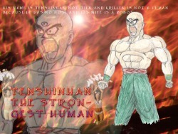 copesetic:  Every time I watch Dragon Ball I can only remind myself that Tenshinhan is the strongest human. 