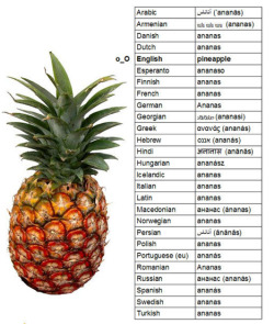 thinly:   -Sir, we’ve found this and we needed you to name it. -Pineapple. -But we figured we might as well just call it “Ananas” since the majority of the world refers to it as- -Pineapple. -But sir- -Pine. Apple.  CRYING I HAVE TO REBLOG IM SORRY