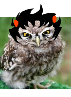 azzly:  sereinshi:  thevoiceonthewinds:  krainestuck:  ALL of the trowlls. )(oot )(oot wwhoo wwhoo P33P P33P!  SERR SER LOOK  OWLS OH MY GOD OWLS  HOWLY SHIT OWLS 