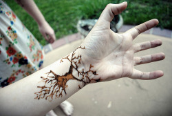 f4lconpunch:  Oh look, its my arm. And my henna I drew. Awks. 