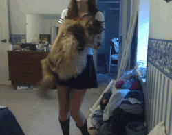 londie:  lavenderblondie:  little school girl with big fat pussy dances for you   