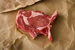 afewdrunkcaptains:  debt:  united steaks of america   