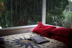       I’d love to sit there and just drink my tea, listening to the rain       I’d love to have sex there and listen to the rain between moans     there are two kinds of people    