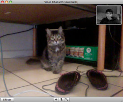 honeynutqueerios:  bath-salts:  omg she recognizes me on video chat  aw 