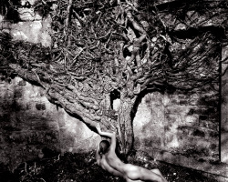billyjane:  Naked Vine, 1985 by John Swannell * 