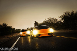 automotivated:  Lamborghini Gallardo Superleggera and Porsche 911 GT3 RS (997) (by pat_ernzen) 