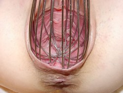 pussymodsgalore:  Pussy stretched by a whisk, which has the advantage of letting you see inside.
