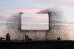 vis-per:  culturerevo:  digbicks: Non-sign II is an installation by seattle based art collective Lead Pencil Studio located at the Canada-US border  near Vancouver. The sculpture is made from small stainless steel rods that are assembled together to creat