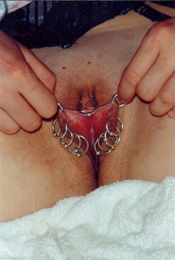 pussymodsgalore  HCH piercing with ring, ten rings in her inner labia. 