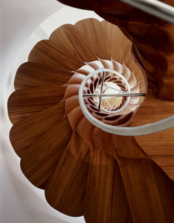 ryeharris:  This is the spiral staircase I want someday.  Spellbinding