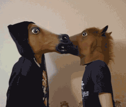 justdilla:  OH MY GOD I CANT BREATH WTF MADE THESE GUYS DO THIS OMG I SERIOUSLY NEED THESE HORSE HEADS IN MY LIFE AND ID WALK AROUND CAMPUS DOING THIS TO PEOPLE IM NOT EVEN JOKING FUCK ME  KEVIN, i see you again hahaha staahp