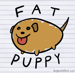 letsallgotothelobby:  here tumblr, have a pupy 